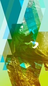 trans02_lr