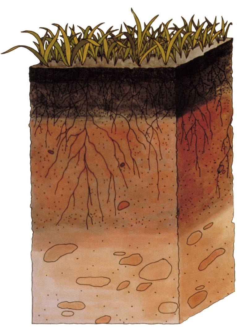 Soil_profile