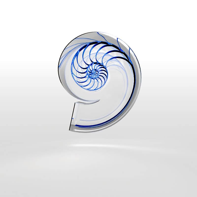 shell3